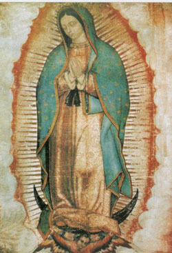 nd-guadalupe